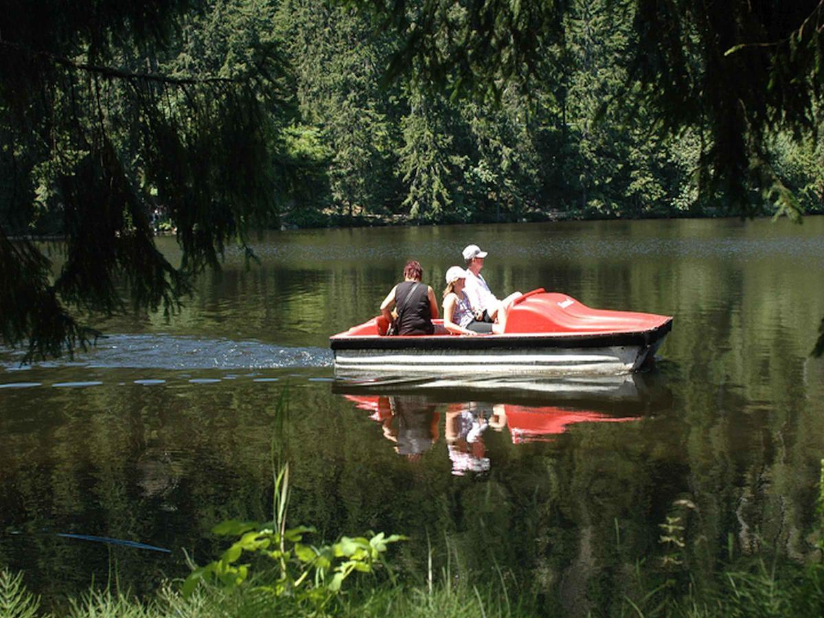 Berghotel Mummelsee Зеебах Экстерьер фото