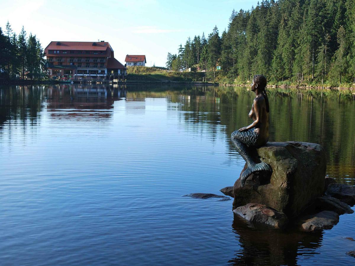 Berghotel Mummelsee Зеебах Экстерьер фото
